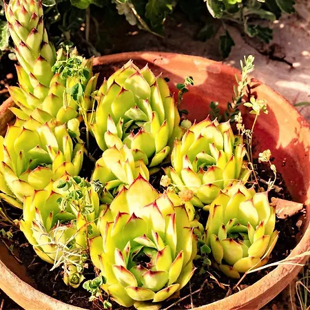 Feriehus Sea&mountain