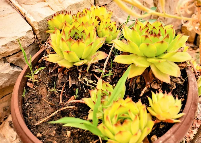 펜션 Sea&mountain *